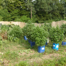 1_10_2012 PI Neulengbach 2.JPG