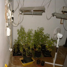 1_10_2012 PI Neulengbach 3.JPG