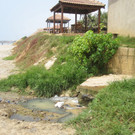 05.jpg