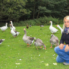 Bilder aus dem Tierheim