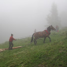 IMG_4243_JPG-1349102684