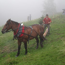 IMG_4244_JPG-1349102709