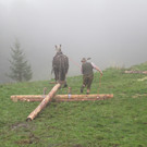 IMG_4249_JPG-1349102767