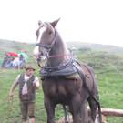 IMG_4259_JPG-1349102889