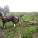 IMG_4260_JPG-1349102921