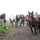 IMG_4266_JPG-1349102977