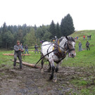 IMG_4286_JPG-1349103217