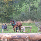 IMG_4295_JPG-1349103331