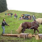 IMG_4327_JPG-1349103628