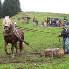 IMG_4328_JPG-1349103668