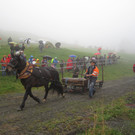 IMG_4334_JPG-1349103746