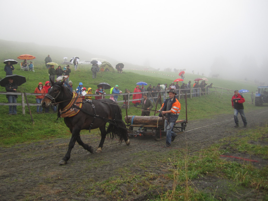 IMG_4334_JPG-1349103746