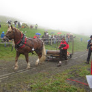 IMG_4337_JPG-1349103797