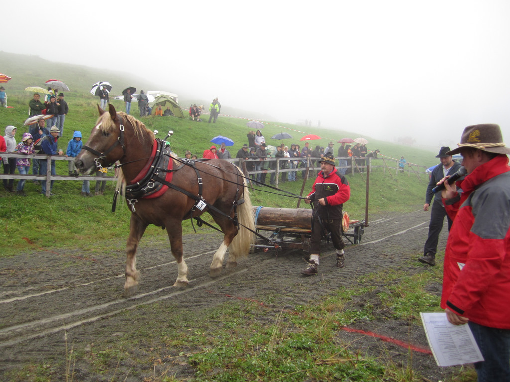 IMG_4337_JPG-1349103797