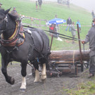 IMG_4340_JPG-1349103824