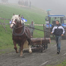 IMG_4343_JPG-1349103853