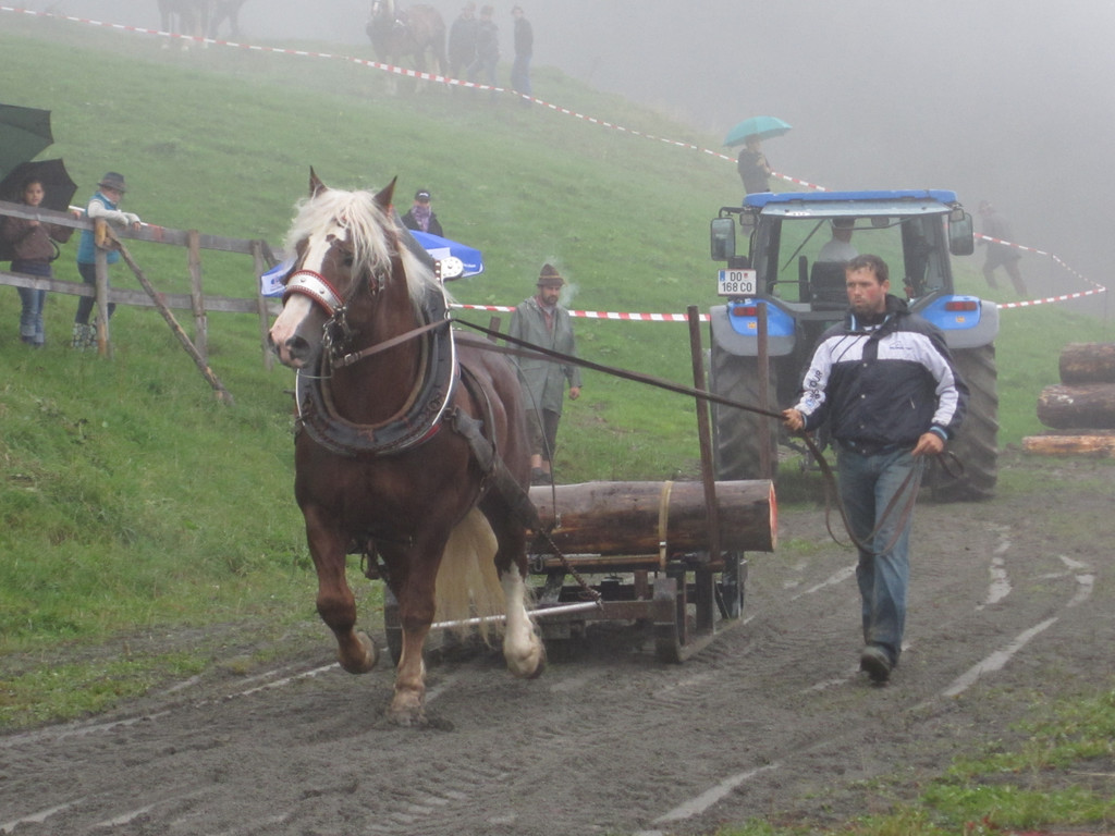 IMG_4343_JPG-1349103853