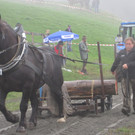 IMG_4345_JPG-1349103882