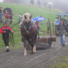 IMG_4347_JPG-1349103912
