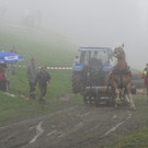 IMG_4348_JPG-1349103935