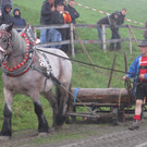 IMG_4358_JPG-1349104020