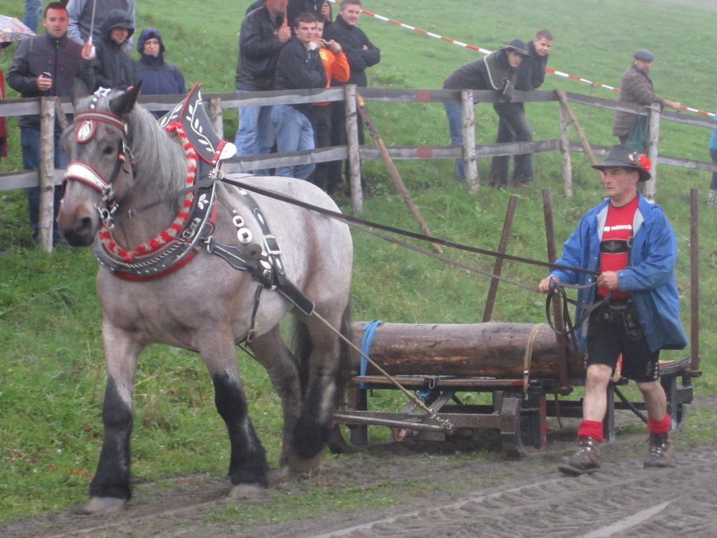 IMG_4358_JPG-1349104020