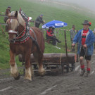 IMG_4360_JPG-1349104078