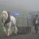 IMG_4363_JPG-1349104135