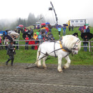 IMG_4364_JPG-1349104167