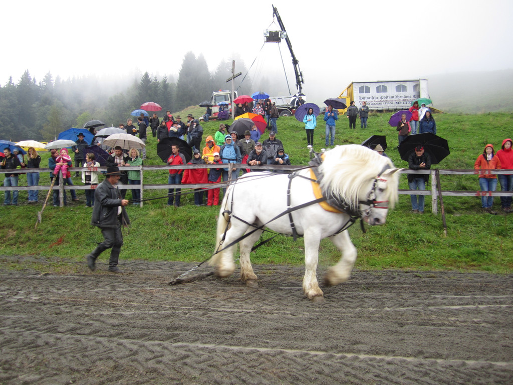 IMG_4364_JPG-1349104167