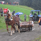 IMG_4366_JPG-1349104199