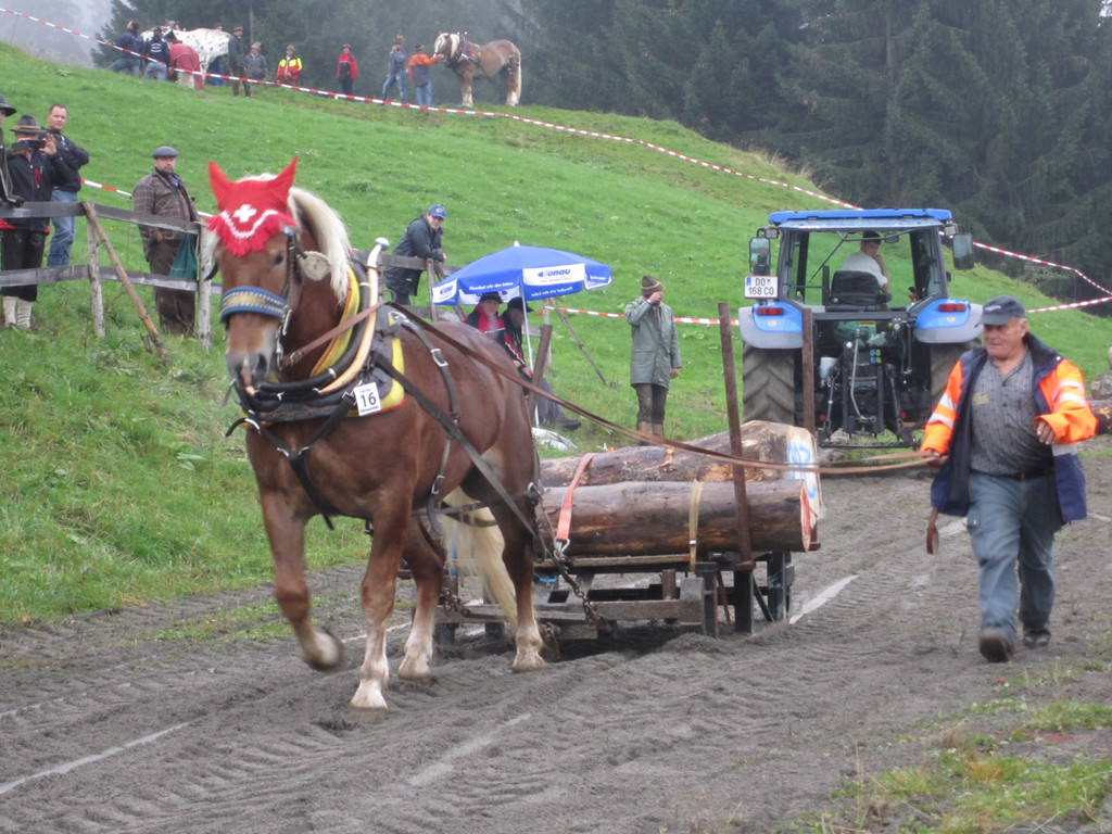 IMG_4366_JPG-1349104199