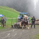 IMG_4368_JPG-1349104228