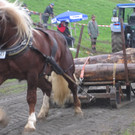 IMG_4369_JPG-1349104256