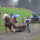 IMG_4373_JPG-1349104318