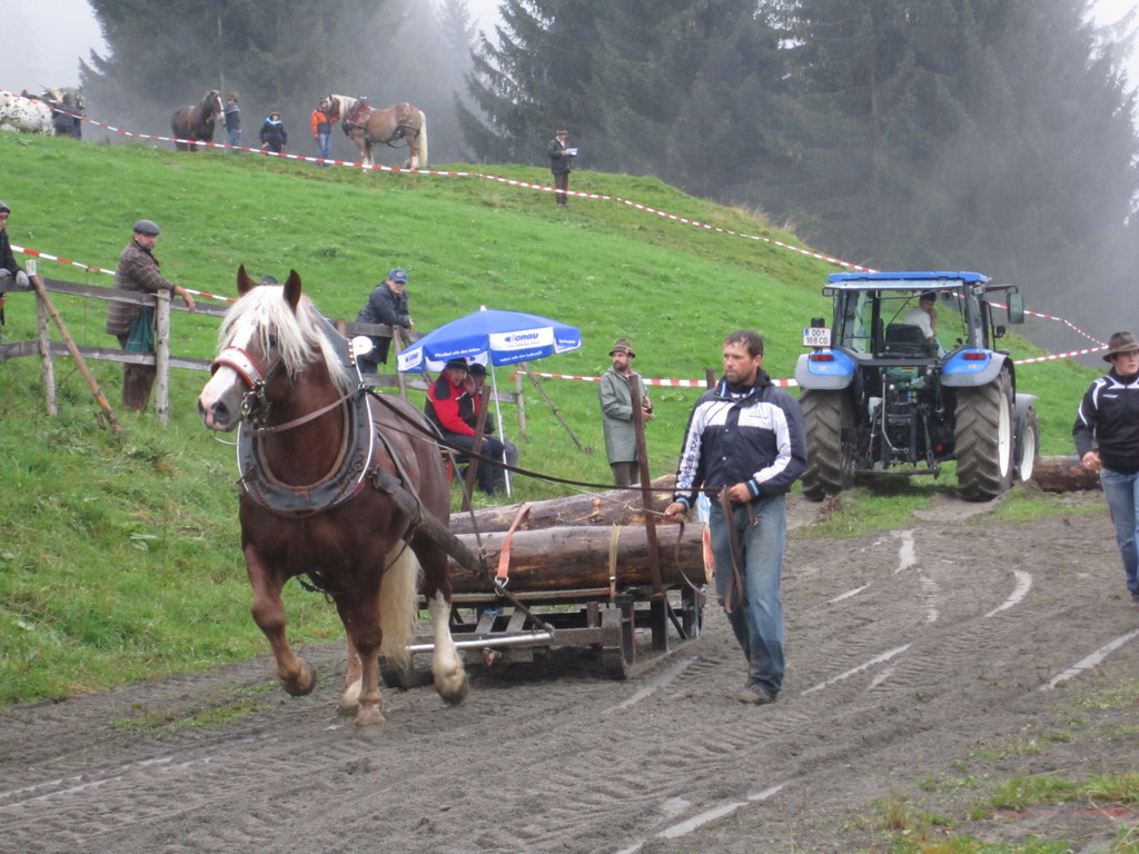 IMG_4373_JPG-1349104318