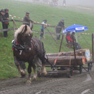 IMG_4376_JPG-1349104347