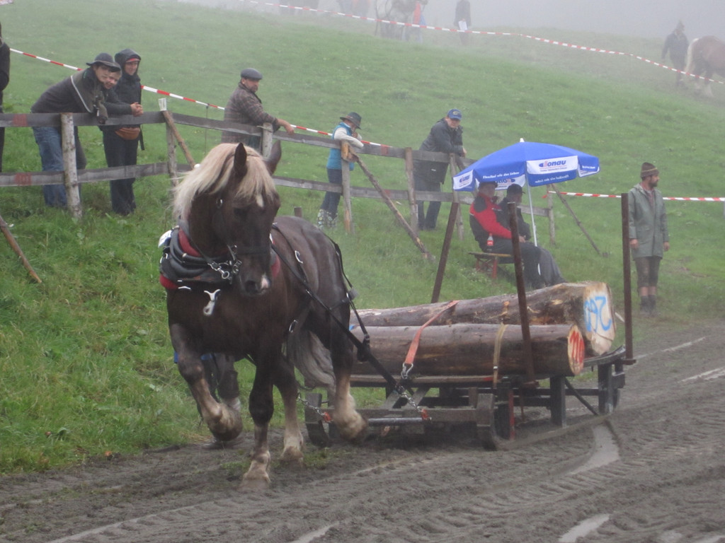 IMG_4376_JPG-1349104347