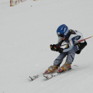 DSC_8151.jpg