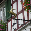 116_3516_JPG-1349131581