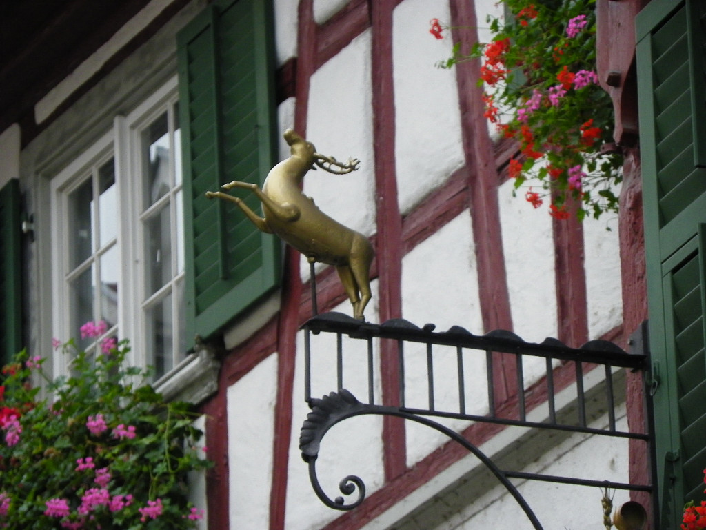 116_3516_JPG-1349131581