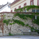 115_1582_JPG-1349133024