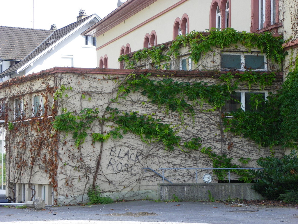 115_1582_JPG-1349133024