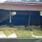 116_2596_JPG-1349133065