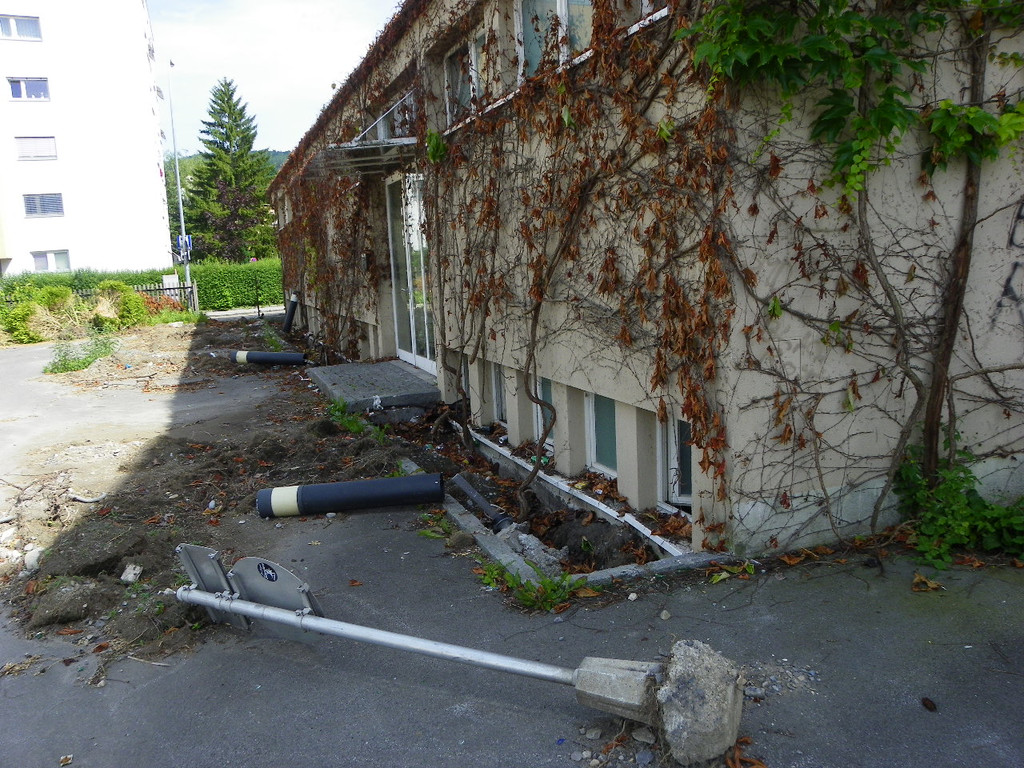 115_1584_JPG-1349133036