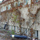 115_1585_JPG-1349133042