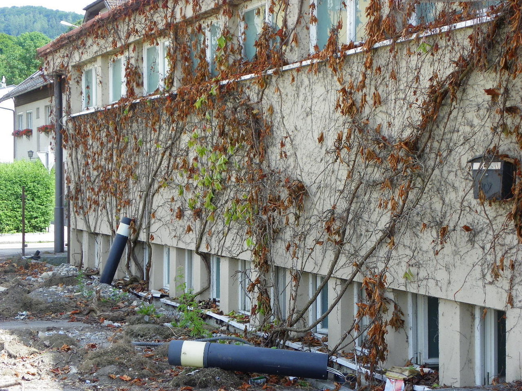 115_1585_JPG-1349133042