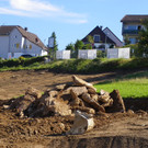 116_2515_JPG-1349135823