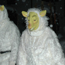 DSC_8236.jpg