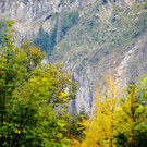 29092012wanderungoffenseeat_02_001aktivnews__31_.JPG